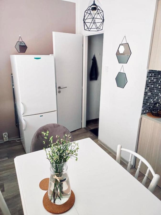 Apartman Domov Decin Zewnętrze zdjęcie