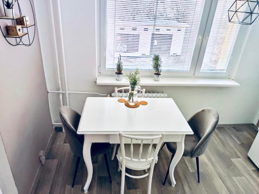 Apartman Domov Decin Zewnętrze zdjęcie